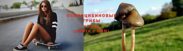 мяу мяу мука Новокубанск