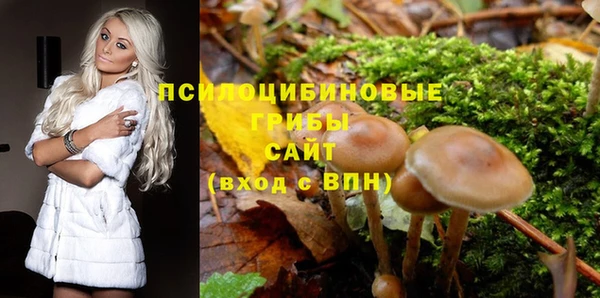 mdma Новозыбков