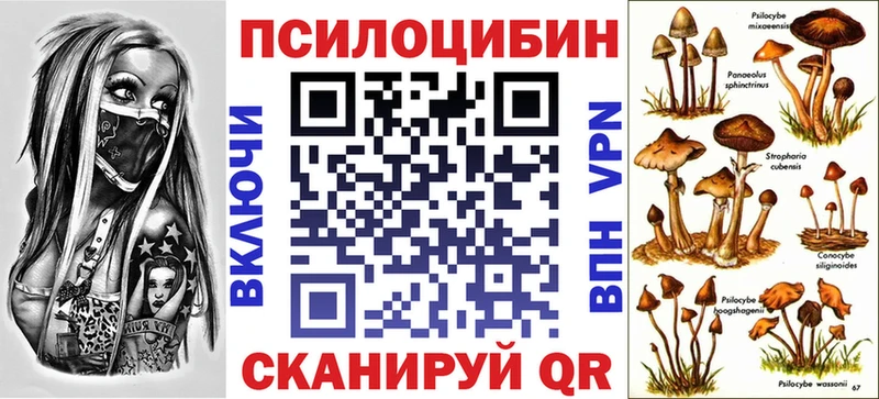 как найти закладки  Шахты  МЕГА ссылки  Псилоцибиновые грибы Psilocybine cubensis 
